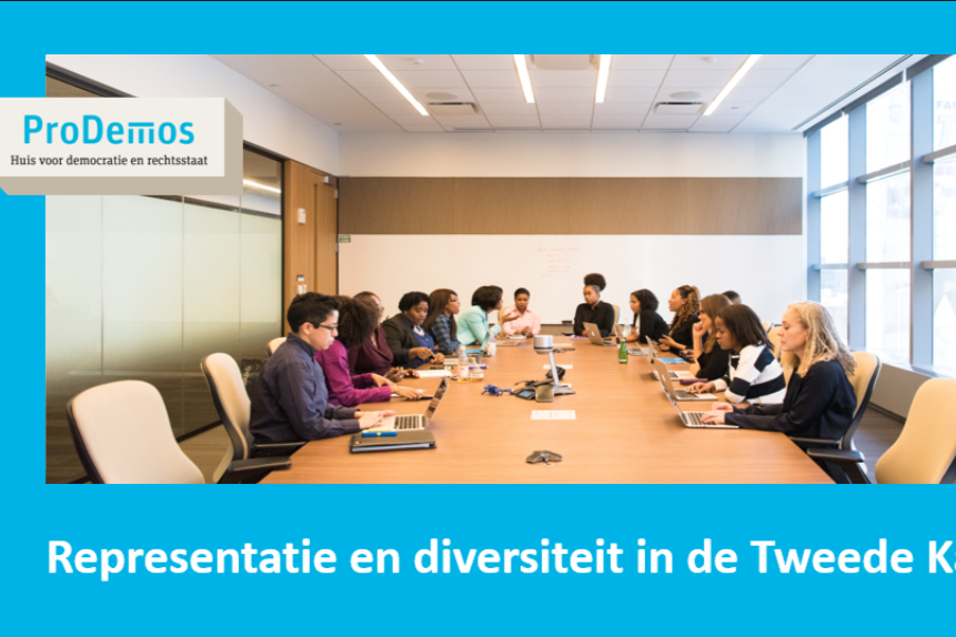 Representatie en diversiteit in de Tweede Kamer